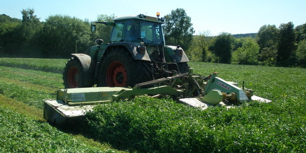 Mowing